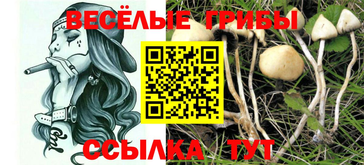 Галлюциногенные грибы Magic Shrooms  Псилоцибиновые грибы ЛСД  Топки  Вход с VPN 