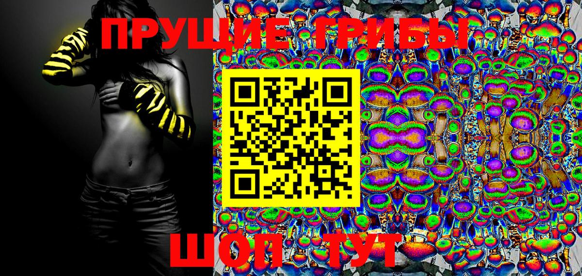 Псилоцибиновые грибы Cubensis Топки
